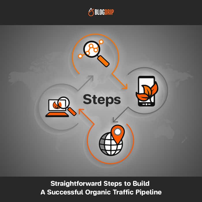 Straightforward-Steps-to-Build-A-Successful-Organic-Tra